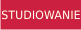 Studia za granic Studia w Anglii Studia w Wielkiej Brytanii Studia Anglia Studia Wielka Brytania Studia w Danii Studia Dania Studia w Szwecji Studia Szwecja Studia w Holandii Studia Holandia Studiowanie
